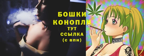 эйфоретик Белокуриха