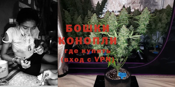 эйфоретик Белокуриха