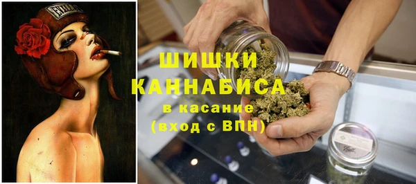 эйфоретик Белокуриха