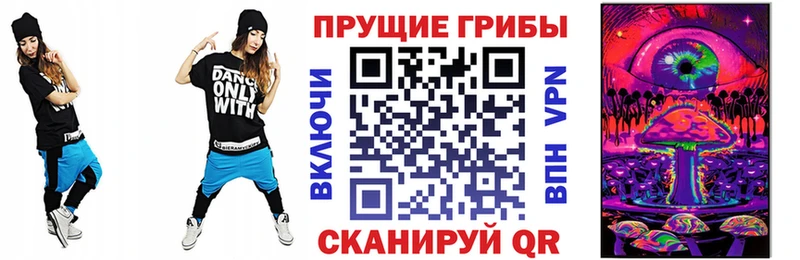 Галлюциногенные грибы Magic Shrooms  Купить где  Правдинск 